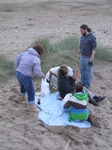 SX15753 Eating fish and chips at sunset on Saunton beach.jpg